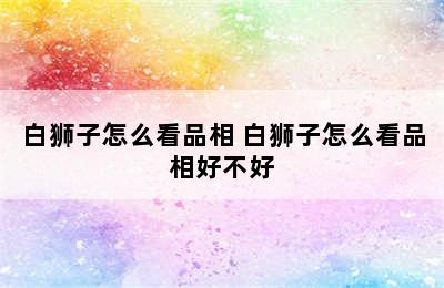 白狮子怎么看品相 白狮子怎么看品相好不好